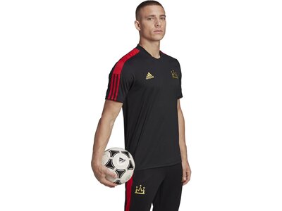 ADIDAS Herren Trikot SALAH TR JSY Schwarz