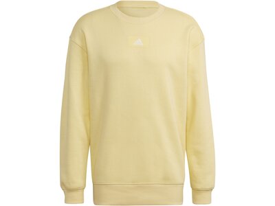 ADIDAS Herren Sweatshirt M FV SWT Braun