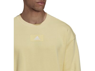 ADIDAS Herren Sweatshirt M FV SWT Braun