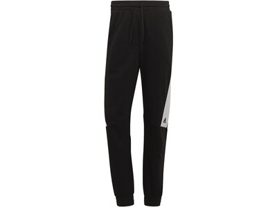 ADIDAS Herren Hose M FI BOS Pant Schwarz