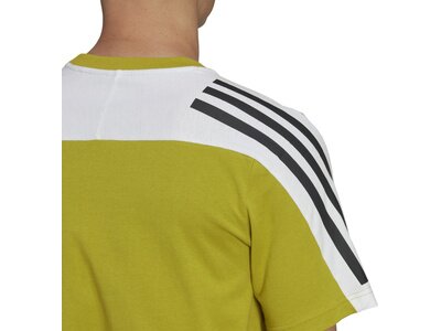 ADIDAS Herren Shirt M FI 3S Tee Grün