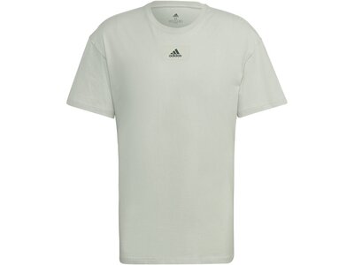 ADIDAS Herren Shirt M FV T Grau