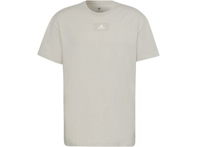 ADIDAS Herren Shirt M FV T Grau