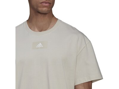 ADIDAS Herren Shirt M FV T Grau