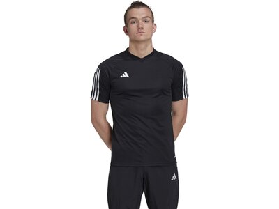 ADIDAS Herren Trikot Tiro 23 Competition (normal & lang) Schwarz