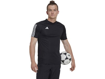 ADIDAS Herren Trikot Tiro 23 Competition (normal & lang) Schwarz