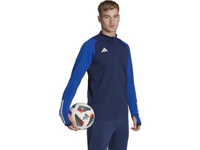 ADIDAS Herren Jacke Tiro 23 Competition Training (normal & lang) Blau