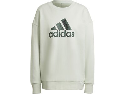 ADIDAS Damen Sweatshirt W FI GFX Q3 SWT Grau