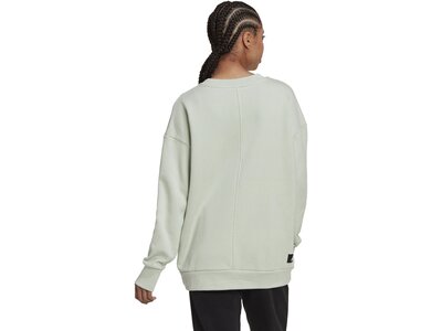 ADIDAS Damen Sweatshirt W FI GFX Q3 SWT Grau