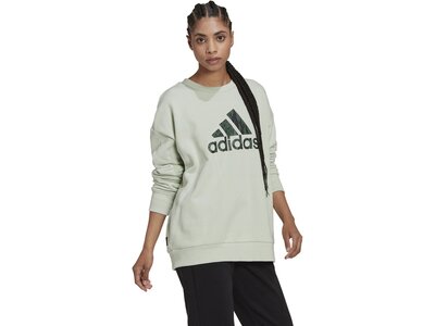 ADIDAS Damen Sweatshirt W FI GFX Q3 SWT Grau