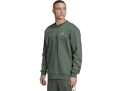 ADIDAS Herren Sweatshirt M FL RECBOS CRW Grau