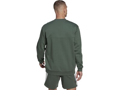 ADIDAS Herren Sweatshirt M FL RECBOS CRW Grau
