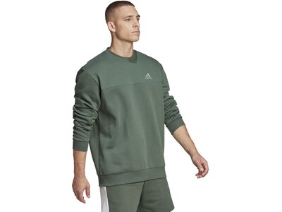 ADIDAS Herren Sweatshirt M FL RECBOS CRW Grau
