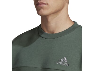 ADIDAS Herren Sweatshirt M FL RECBOS CRW Grau
