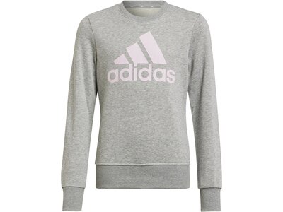 ADIDAS Kinder Sweatshirt G BL SWT Grau