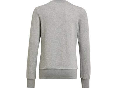 ADIDAS Kinder Sweatshirt G BL SWT Grau
