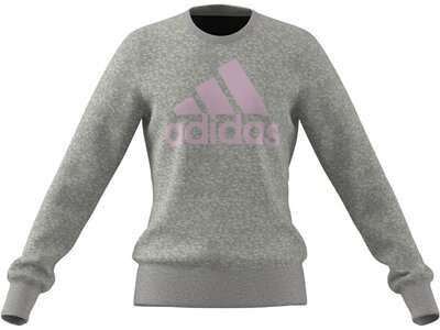 ADIDAS Kinder Sweatshirt G BL SWT Grau