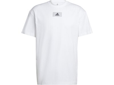 ADIDAS Herren Shirt M FV T Silber