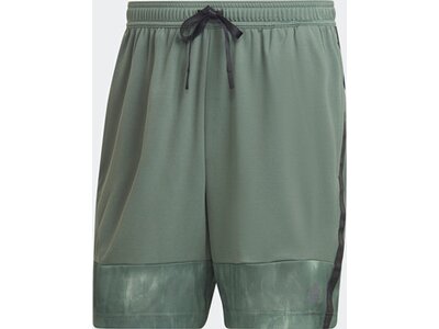 ADIDAS Herren Shorts WO AOP SHO Grün