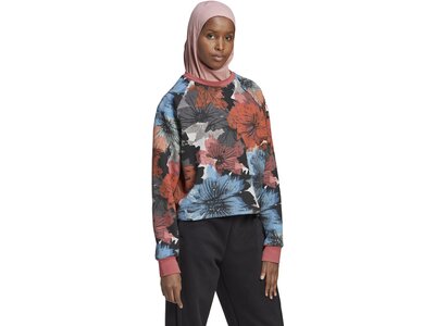 ADIDAS Damen Sweatshirt W AOP SWT Grau