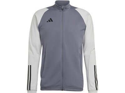 ADIDAS Herren Jacke Tiro 23 Competition (normal & lang) Grau