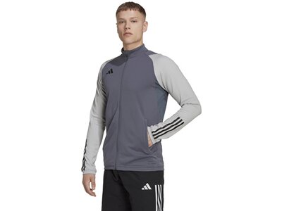 ADIDAS Herren Jacke Tiro 23 Competition (normal & lang) Grau