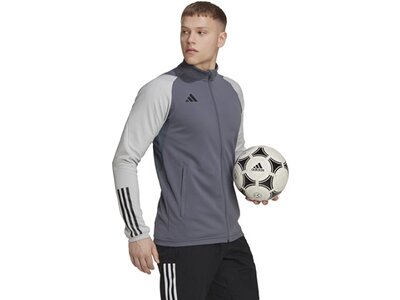 ADIDAS Herren Jacke Tiro 23 Competition (normal & lang) Grau