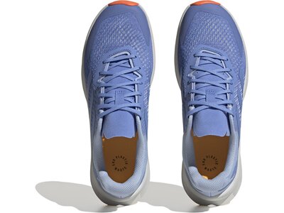 ADIDAS Herren Trailrunningschuhe TERREX SOULSTRIDE FLOW Grau