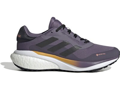 ADIDAS Damen Laufschuhe Supernova 3 GTX Grau