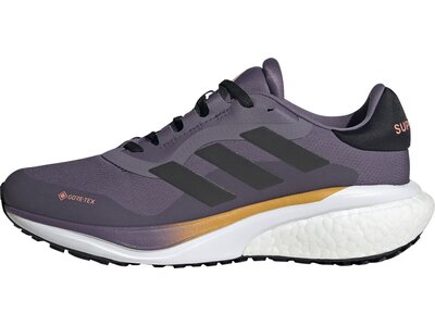 ADIDAS Damen Laufschuhe Supernova 3 GTX Grau