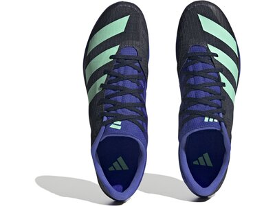 ADIDAS Herren Leichtathletikschuhe distancestar Grau