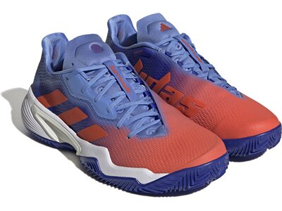ADIDAS Herren Tennisoutdoorschuhe Barricade M clay Silber