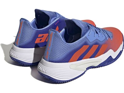 ADIDAS Herren Tennisoutdoorschuhe Barricade M clay Silber