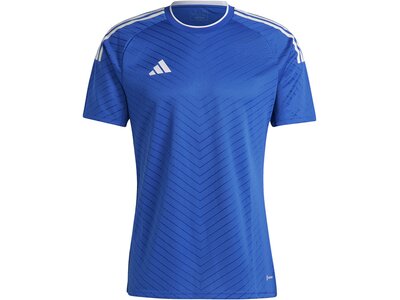 ADIDAS Herren Trikot Campeon 23 Blau
