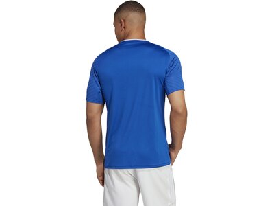 ADIDAS Herren Trikot Campeon 23 Blau