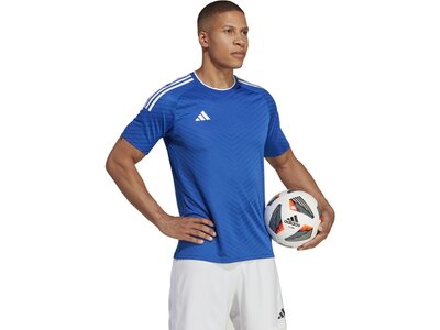 ADIDAS Herren Trikot Campeon 23 Blau