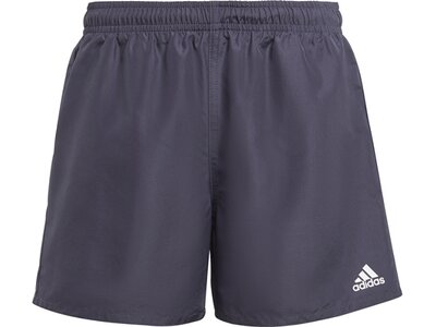 ADIDAS Kinder Badeshorts YB BOS SHORTS Grau