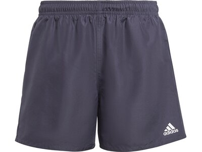 ADIDAS Kinder Badeshorts YB BOS SHORTS Grau