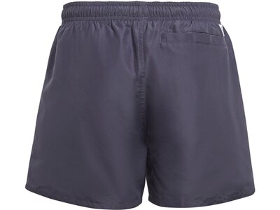 ADIDAS Kinder Badeshorts YB BOS SHORTS Grau