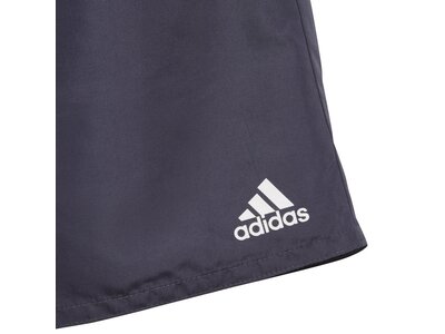 ADIDAS Kinder Badeshorts YB BOS SHORTS Grau