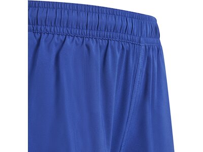 ADIDAS Kinder Badeshorts 3-Streifen Blau