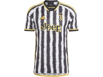 ADIDAS Herren Trikot Juventus Turin 23/24 Heim Grau