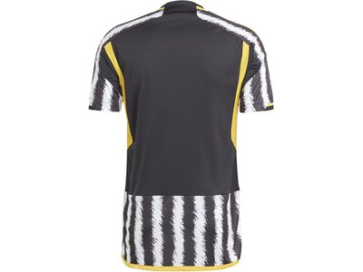 ADIDAS Herren Trikot Juventus Turin 23/24 Heim Grau