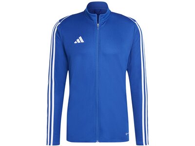 ADIDAS Herren Jacke Tiro 23 League (normal & lang) Blau