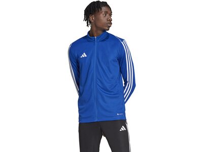 ADIDAS Herren Jacke Tiro 23 League (normal & lang) Blau