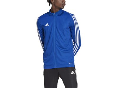 ADIDAS Herren Jacke Tiro 23 League (normal & lang) Blau