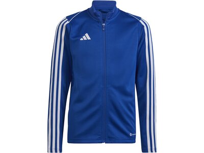 ADIDAS Kinder Jacke Tiro 23 League Blau