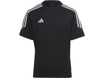 ADIDAS Kinder Trikot Tiro 23 Club Schwarz