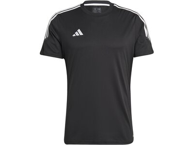 ADIDAS Herren Trikot Tiro 23 Club Schwarz