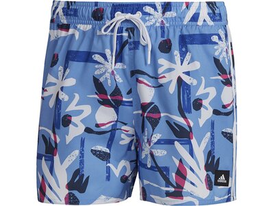 ADIDAS Herren Shorts FLO CLX VSL Blau